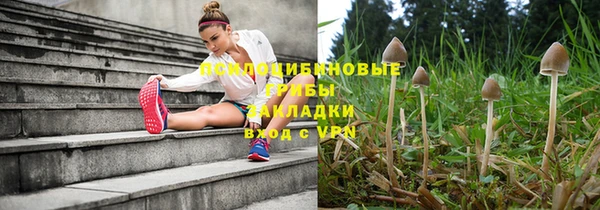 каннабис Гусиноозёрск