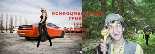 каннабис Гусиноозёрск