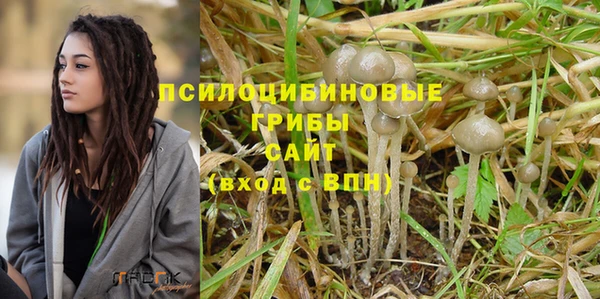 прущая мука Гусь-Хрустальный