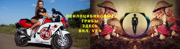 синтетический гашиш Гусев