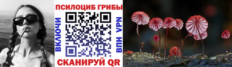 купить наркотик  мега рабочий сайт  Галлюциногенные грибы ЛСД  Астрахань 
